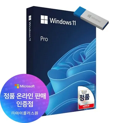마이크로소프트 WINDOWS 11 PRO 처음사용자용 패키지 윈도우 11 프로 PKC FPP 윈11프로